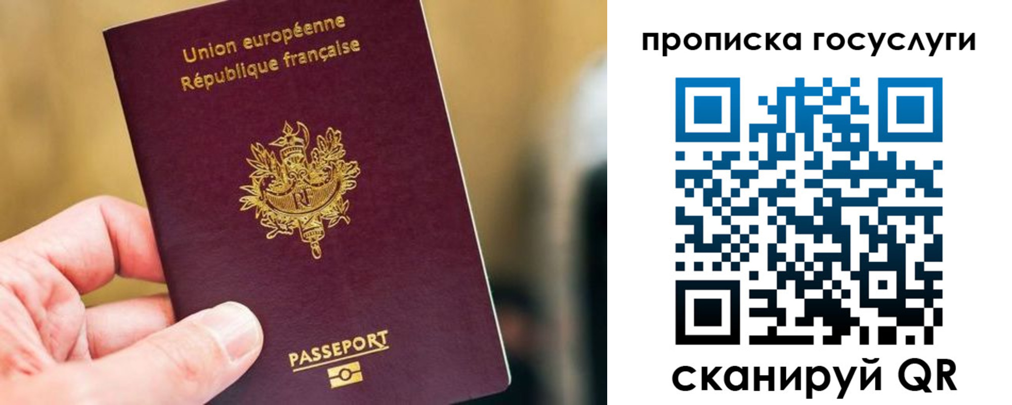 временная регистрация поиск в Михайловке